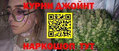прущие крисы Гай
