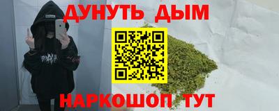 прущие крисы Гатчина