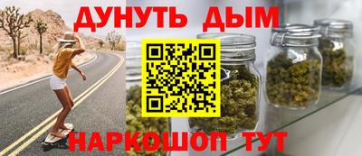 прущие крисы Гай