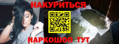 прущие крисы Гатчина