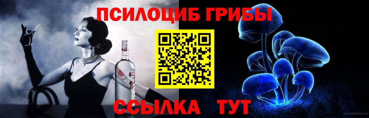 Псилоцибиновые грибы Psilocybe Димитровград